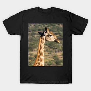 Giraffe in the wild. T-Shirt